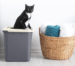 Nonstick Top-Entry Cat Litter Box with Filter Lid, Large