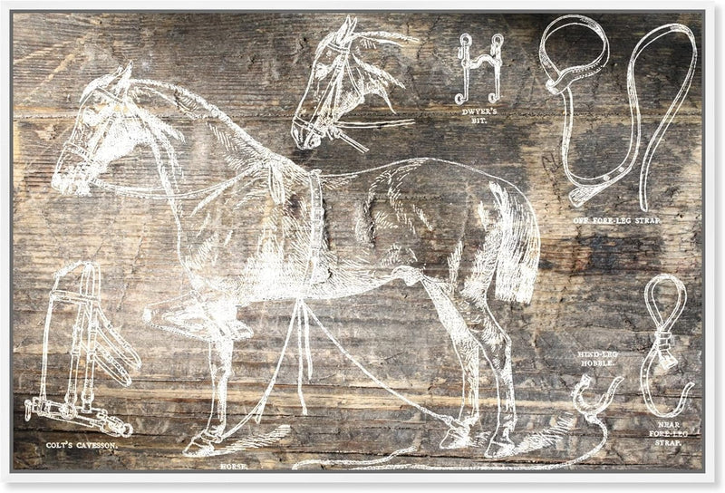 Wall Art 'Horse Blueprint Anatomy' White Framed Canvas Rustic Home Décor 54x36