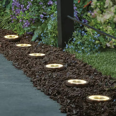 6-Piece LED Solar Disc Lights - Oil-Rubbed Bronze