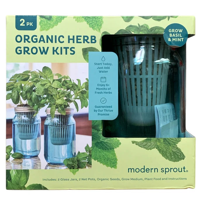 Modern Sprout Organic Herb Glass Jar Grow Kits, 2 Pack, Basil & Mint