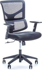 X-Chair X-Basic Task Chair with Flex Mesh - Black