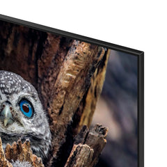 SAMSUNG 75” Class Q80D Series 4K QLED Smart TV