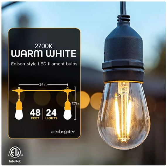 EcoScapes Outdoor LED Café Lights (24 bulbs, 48 ft.)