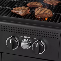 5-Burner Propane Gas Grill