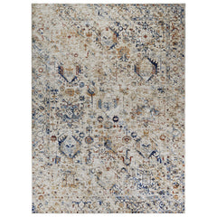 Renaissance 1079 Area Rug - 8' x 10' - Faded