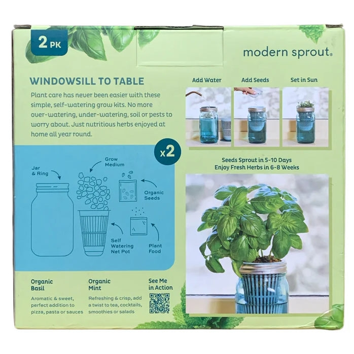 Modern Sprout Organic Herb Glass Jar Grow Kits, 2 Pack, Basil & Mint