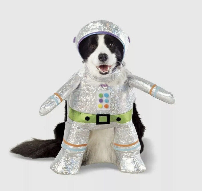 Pet Robot Costume