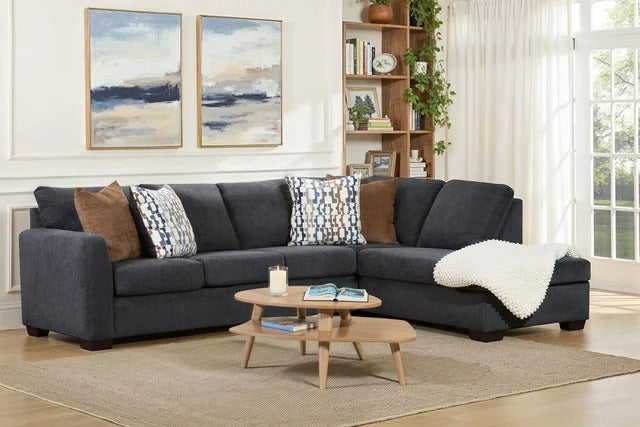 Franz 2-Piece Sectional in Charcoal