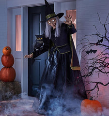 6' Pre-Lit Animated Vintage Witch