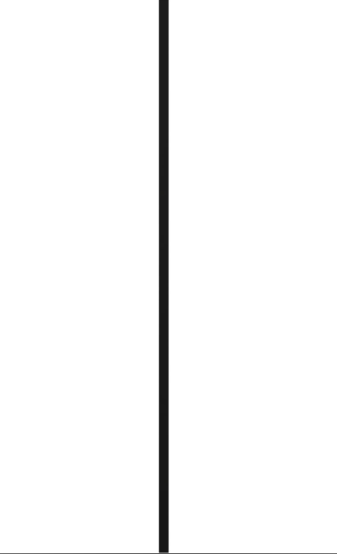 12"W x 51"H Standard Two Raised Panel Shutters- 002 - Black
